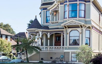 Electrical Appliances in the Pakistan Market